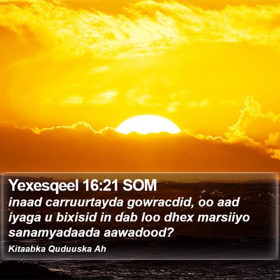 Yexesqeel 16:21 SOM Bible Verse Image