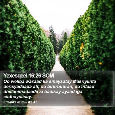 Yexesqeel 16:26 SOM Bible Verse Image