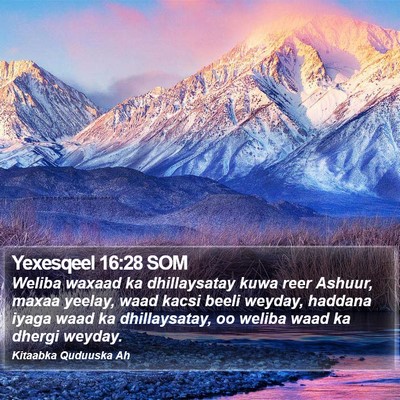 Yexesqeel 16:28 SOM Bible Verse Image