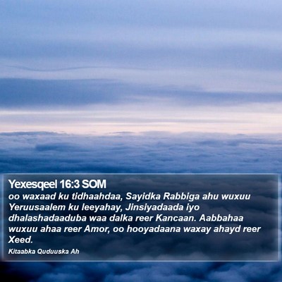 Yexesqeel 16:3 SOM Bible Verse Image