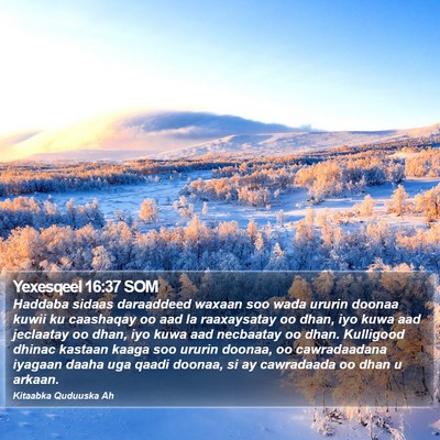 Yexesqeel 16:37 SOM Bible Verse Image
