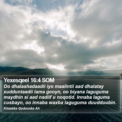 Yexesqeel 16:4 SOM Bible Verse Image