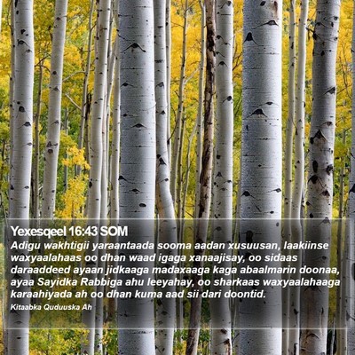 Yexesqeel 16:43 SOM Bible Verse Image