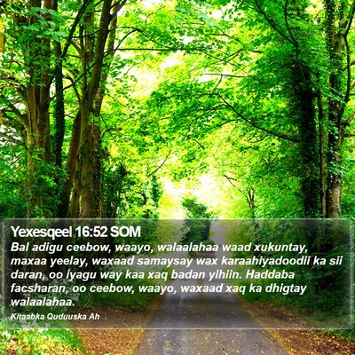 Yexesqeel 16:52 SOM Bible Verse Image