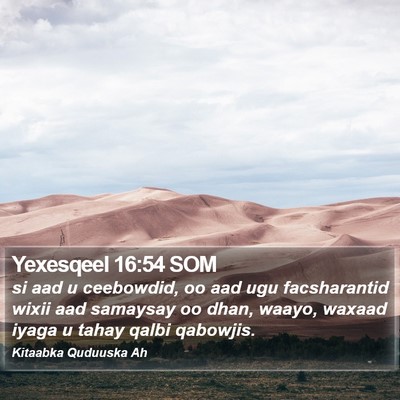 Yexesqeel 16:54 SOM Bible Verse Image