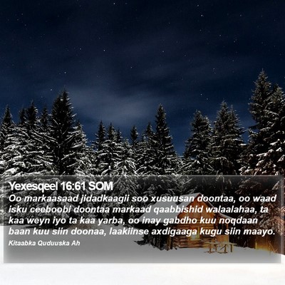 Yexesqeel 16:61 SOM Bible Verse Image