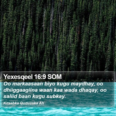 Yexesqeel 16:9 SOM Bible Verse Image
