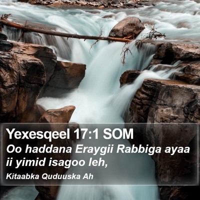 Yexesqeel 17:1 SOM Bible Verse Image