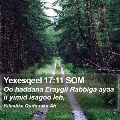 Yexesqeel 17:11 SOM Bible Verse Image
