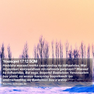Yexesqeel 17:12 SOM Bible Verse Image