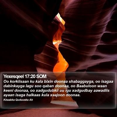 Yexesqeel 17:20 SOM Bible Verse Image