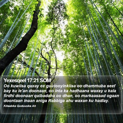 Yexesqeel 17:21 SOM Bible Verse Image