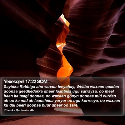 Yexesqeel 17:22 SOM Bible Verse Image