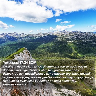 Yexesqeel 17:24 SOM Bible Verse Image