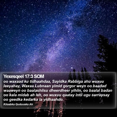 Yexesqeel 17:3 SOM Bible Verse Image