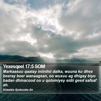 Yexesqeel 17:5 SOM Bible Verse Image