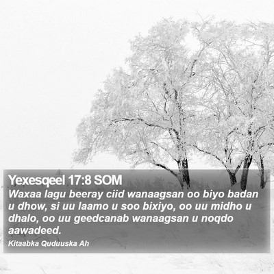 Yexesqeel 17:8 SOM Bible Verse Image