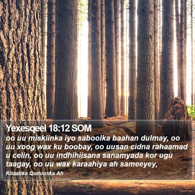 Yexesqeel 18:12 SOM Bible Verse Image
