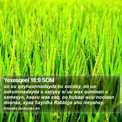 Yexesqeel 18:9 SOM Bible Verse Image