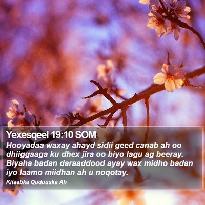 Yexesqeel 19:10 SOM Bible Verse Image