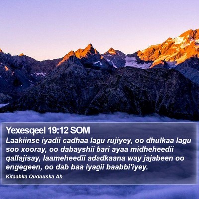Yexesqeel 19:12 SOM Bible Verse Image