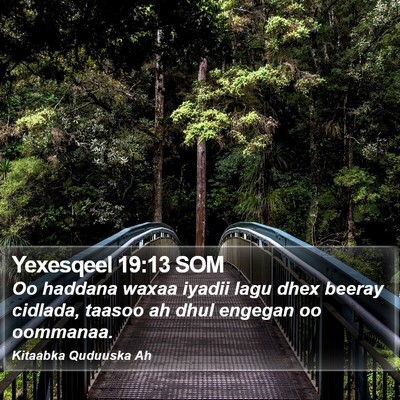Yexesqeel 19:13 SOM Bible Verse Image