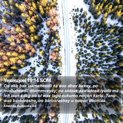 Yexesqeel 19:14 SOM Bible Verse Image