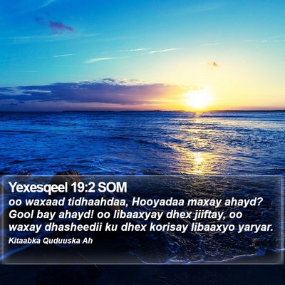 Yexesqeel 19:2 SOM Bible Verse Image