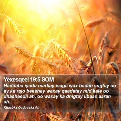 Yexesqeel 19:5 SOM Bible Verse Image