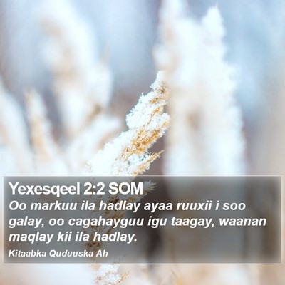 Yexesqeel 2:2 SOM Bible Verse Image