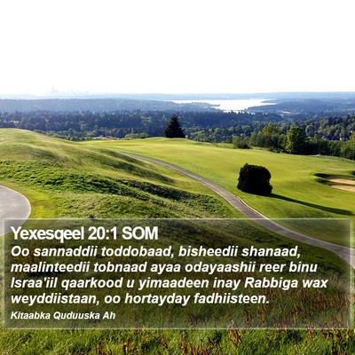 Yexesqeel 20:1 SOM Bible Verse Image