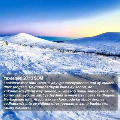 Yexesqeel 20:13 SOM Bible Verse Image