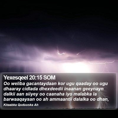Yexesqeel 20:15 SOM Bible Verse Image