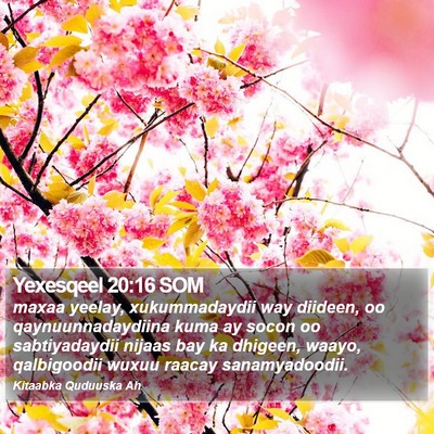 Yexesqeel 20:16 SOM Bible Verse Image