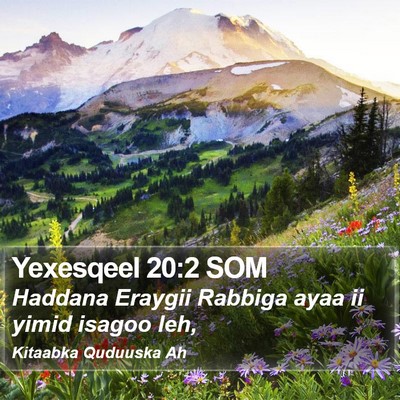 Yexesqeel 20:2 SOM Bible Verse Image
