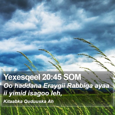 Yexesqeel 20:45 SOM Bible Verse Image