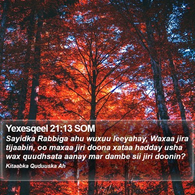 Yexesqeel 21:13 SOM Bible Verse Image