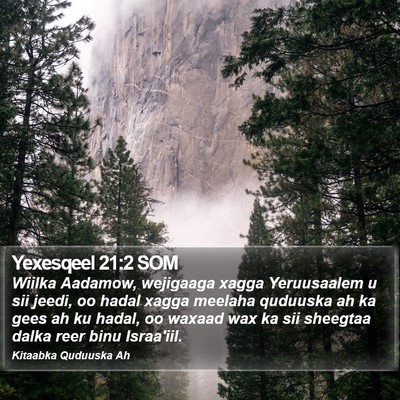 Yexesqeel 21:2 SOM Bible Verse Image
