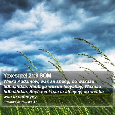 Yexesqeel 21:9 SOM Bible Verse Image