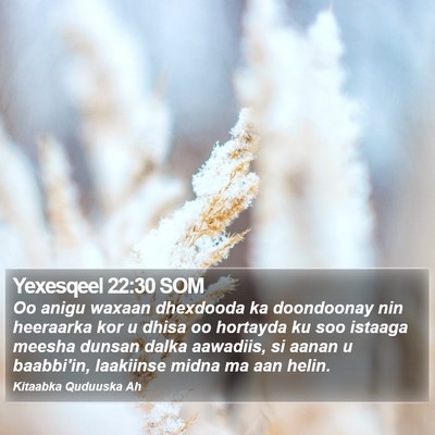 Yexesqeel 22:30 SOM Bible Verse Image