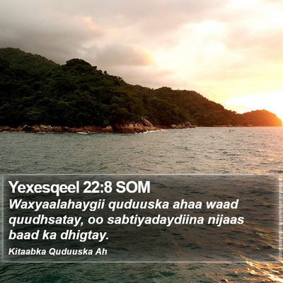 Yexesqeel 22:8 SOM Bible Verse Image
