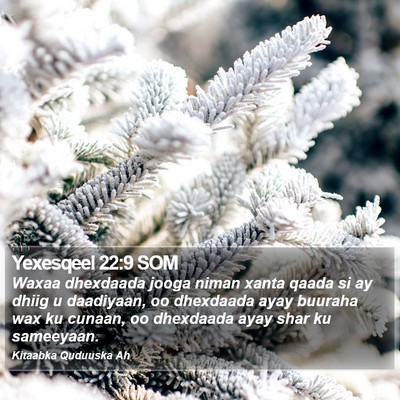 Yexesqeel 22:9 SOM Bible Verse Image