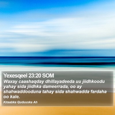 Yexesqeel 23:20 SOM Bible Verse Image