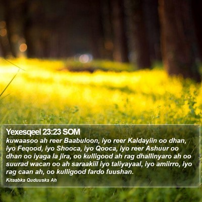 Yexesqeel 23:23 SOM Bible Verse Image
