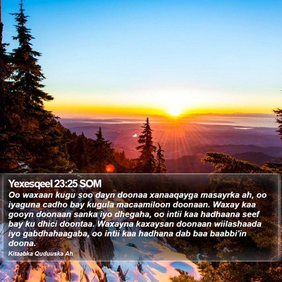 Yexesqeel 23:25 SOM Bible Verse Image