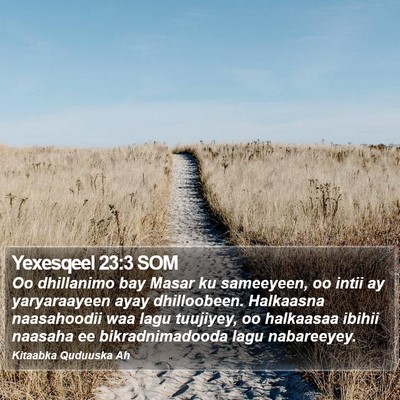 Yexesqeel 23:3 SOM Bible Verse Image