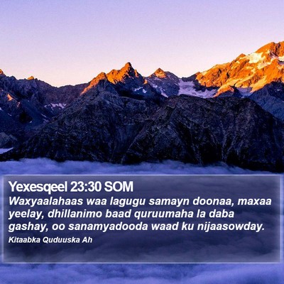 Yexesqeel 23:30 SOM Bible Verse Image