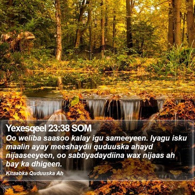 Yexesqeel 23:38 SOM Bible Verse Image