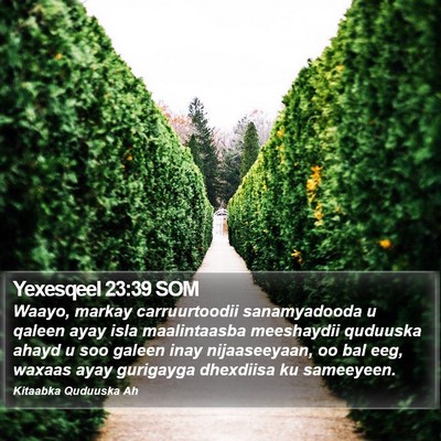 Yexesqeel 23:39 SOM Bible Verse Image
