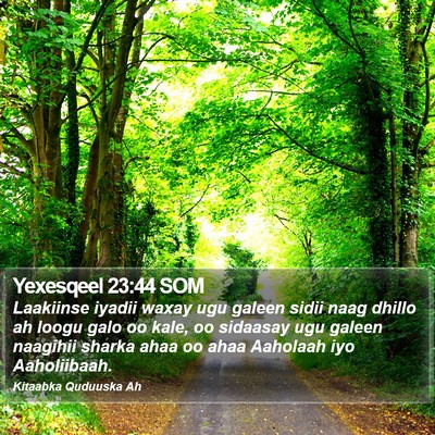 Yexesqeel 23:44 SOM Bible Verse Image